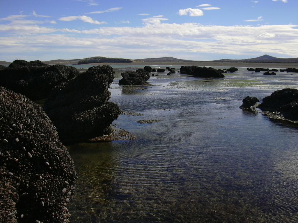 photo_2022-12-28_17-34-39