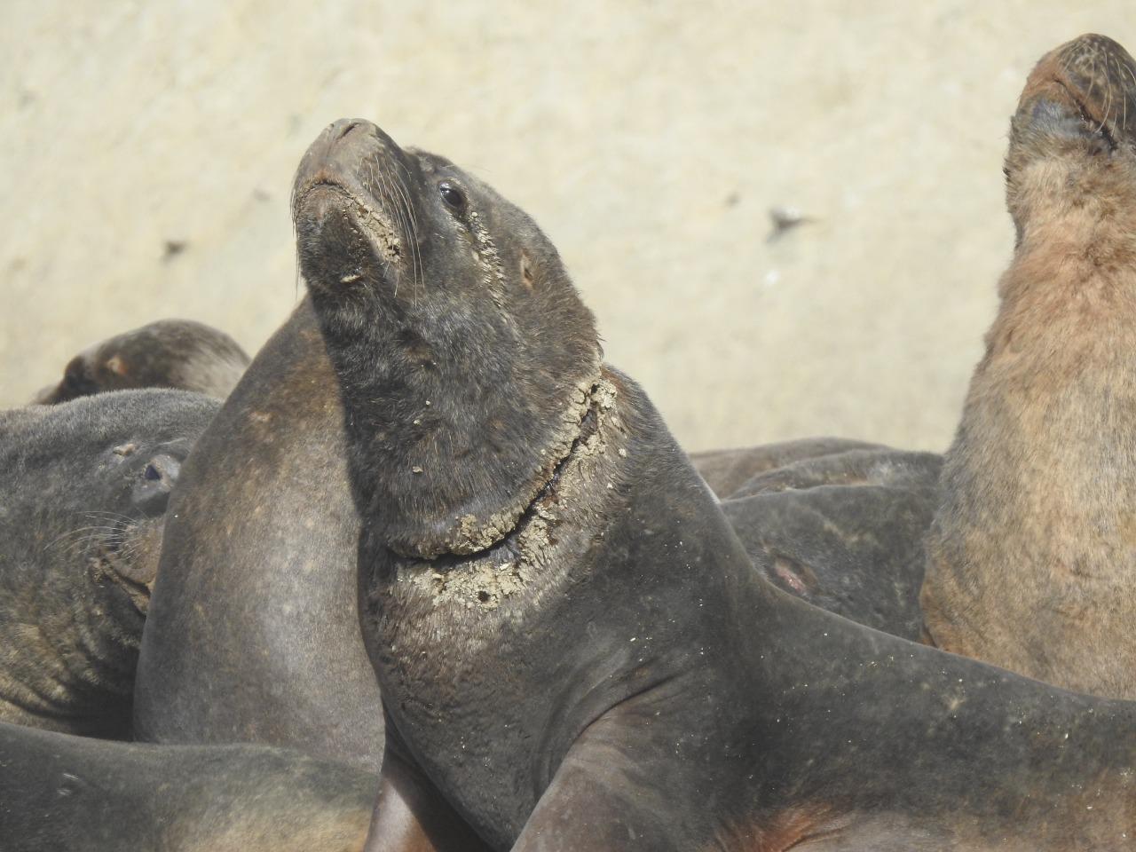 Imagen de WhatsApp 2022-11-22 a las 11.51.27