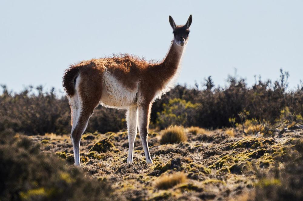 WhatsApp_Image_2023-04-24_at_12.29.39_22