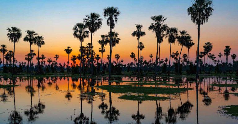 f768x400-209166_253069_5050