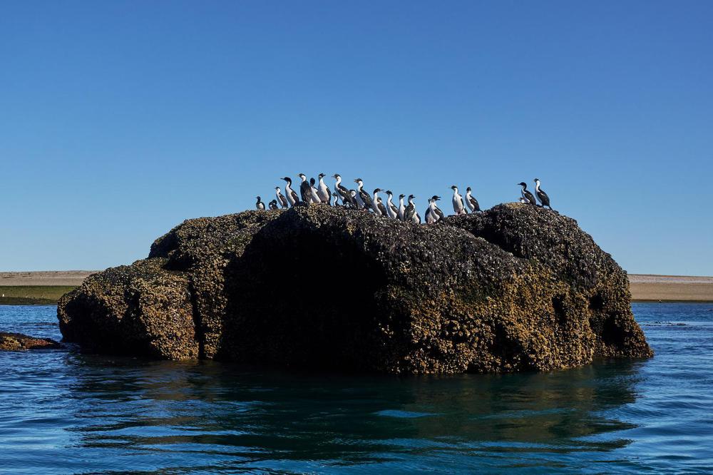 WhatsApp_Image_2023-04-24_at_12.29.39_5