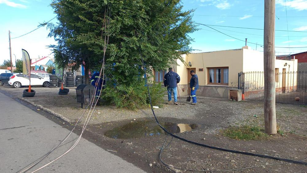 WhatsApp Image 2022-04-18 at 11.53.40 AM