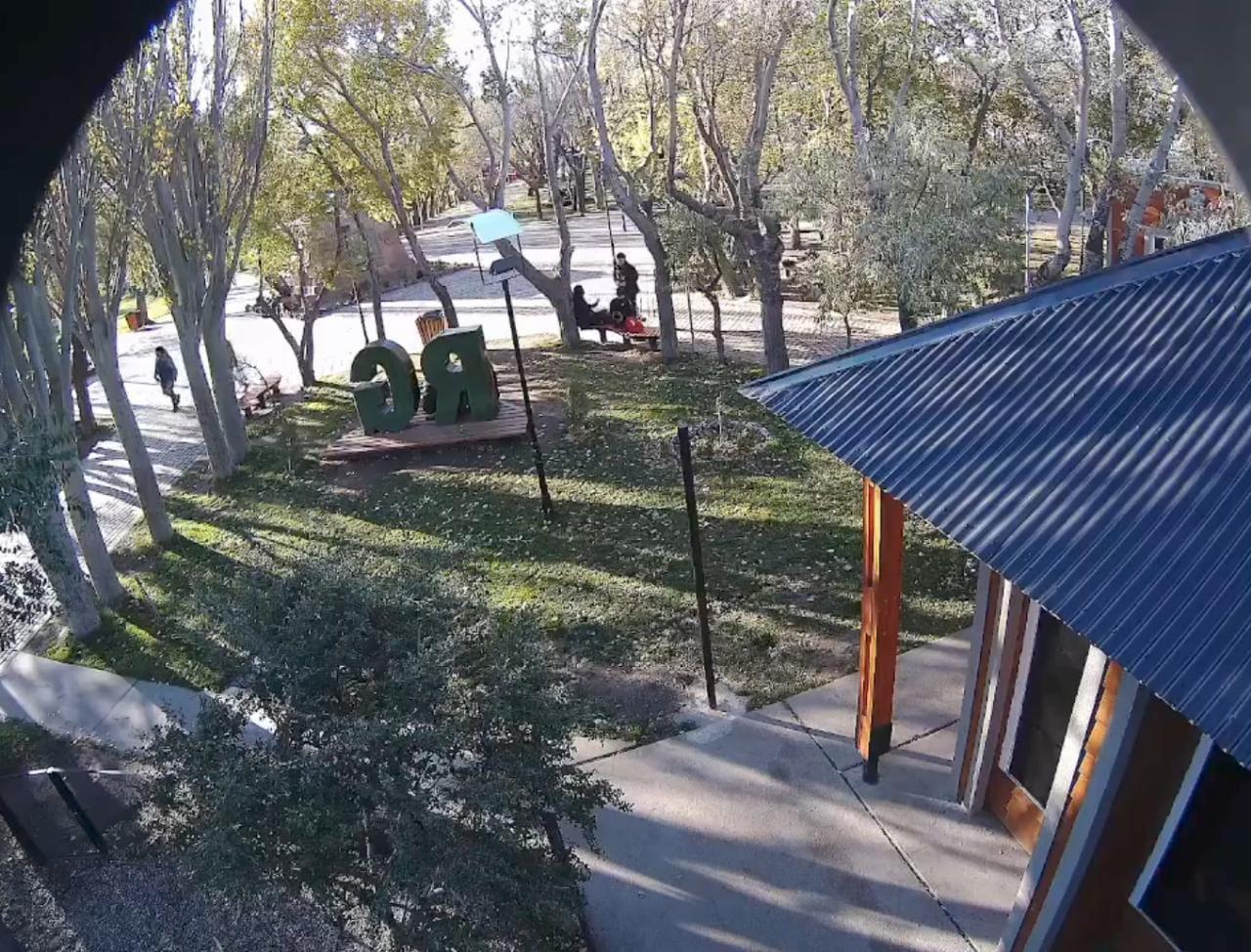 WhatsApp Image 2022-05-10 at 5.43.46 PM