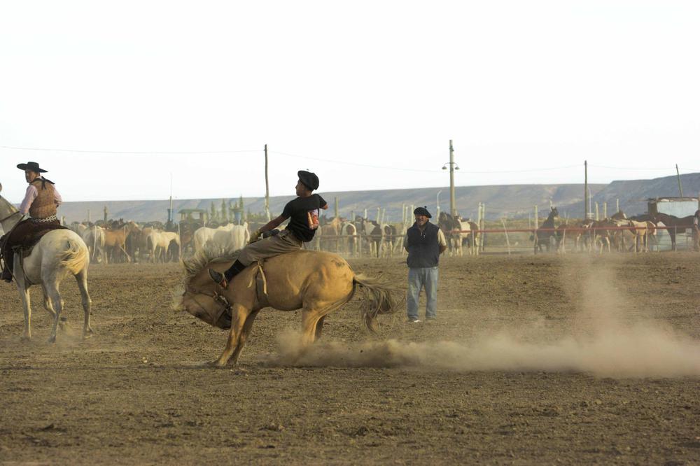 WhatsApp_Image_2023-02-06_at_14.13.55_3