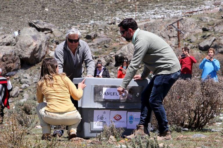 f768x1-1502212_1502339_5050