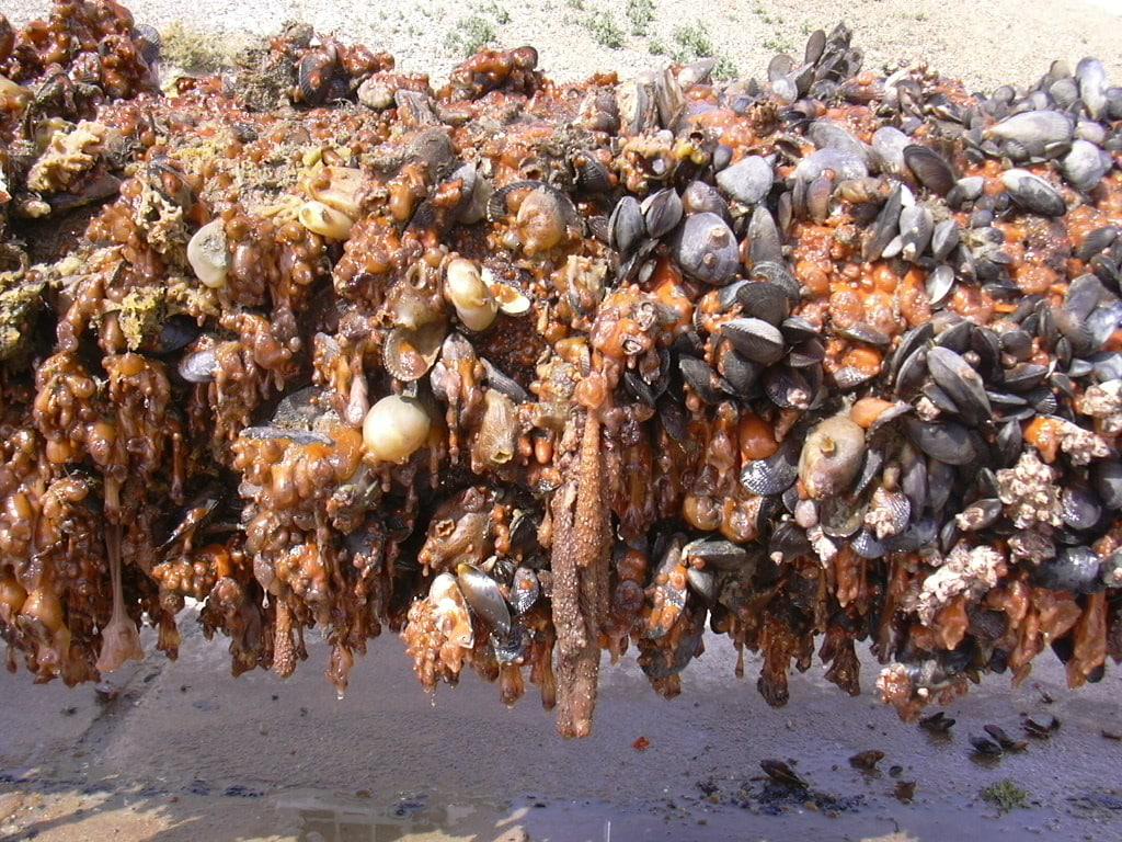 photo_2022-12-28_17-34-59