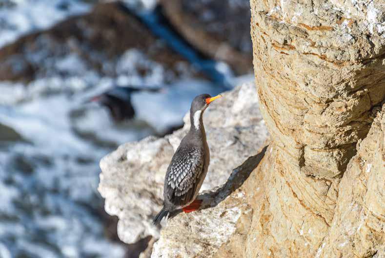 Potenciando la historia y la naturaleza de la costa santacruceña 02