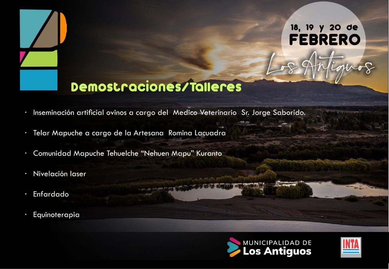 WhatsApp Image 2022-02-15 at 21.35.10