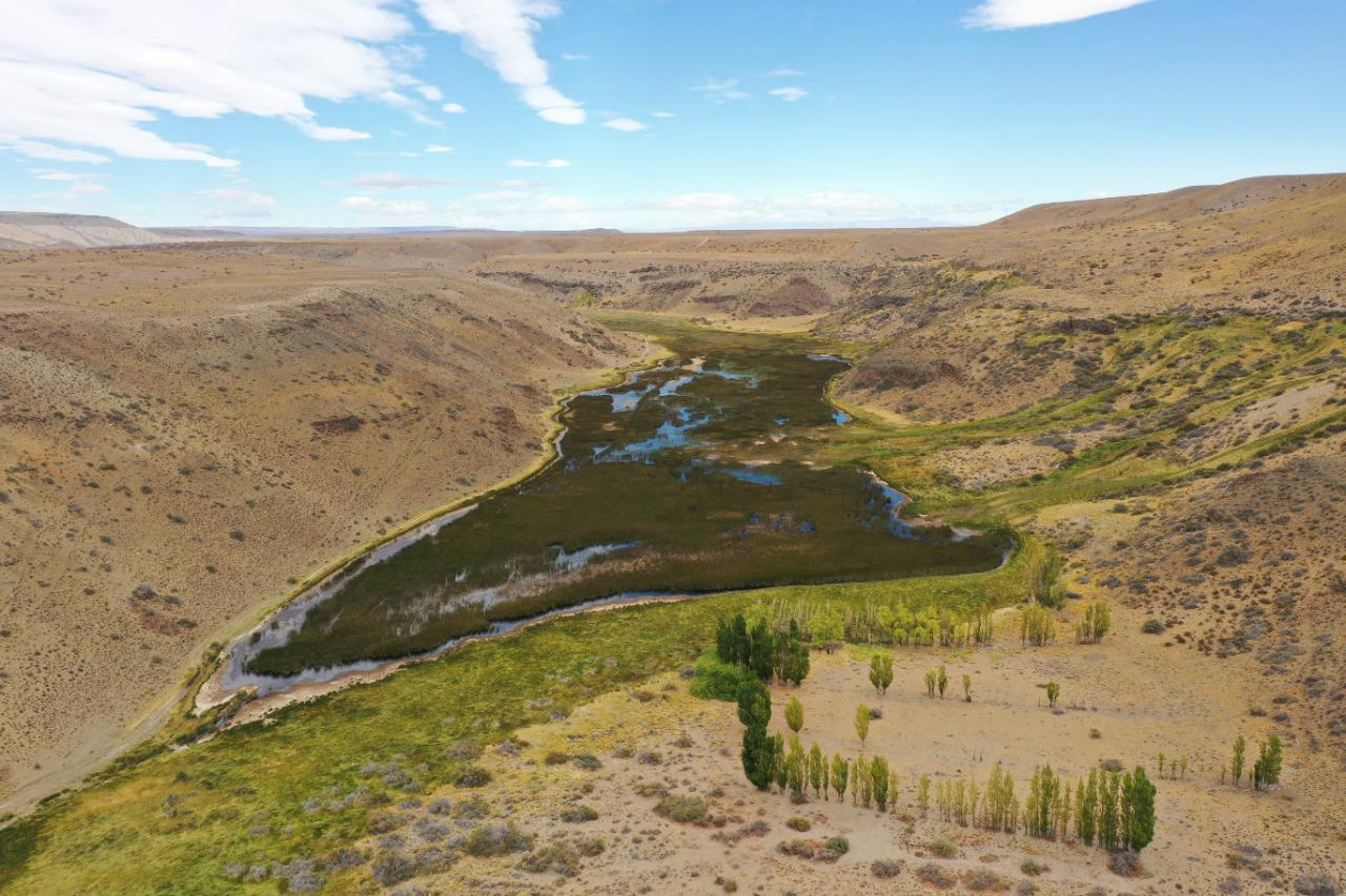 Conservar los juncales, esos humedales donde la vida se multiplica 04