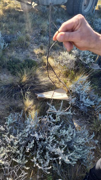 WhatsApp_Image_2021-10-28_at_4.58.43_PM