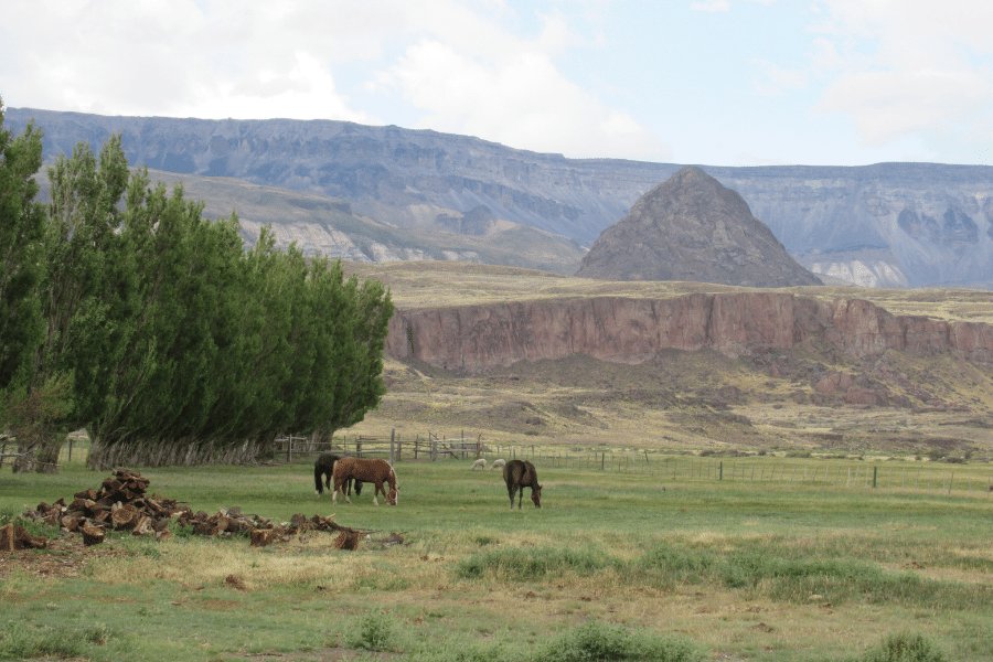 Una cabalgata de 12 días en la región del Zeballos 01