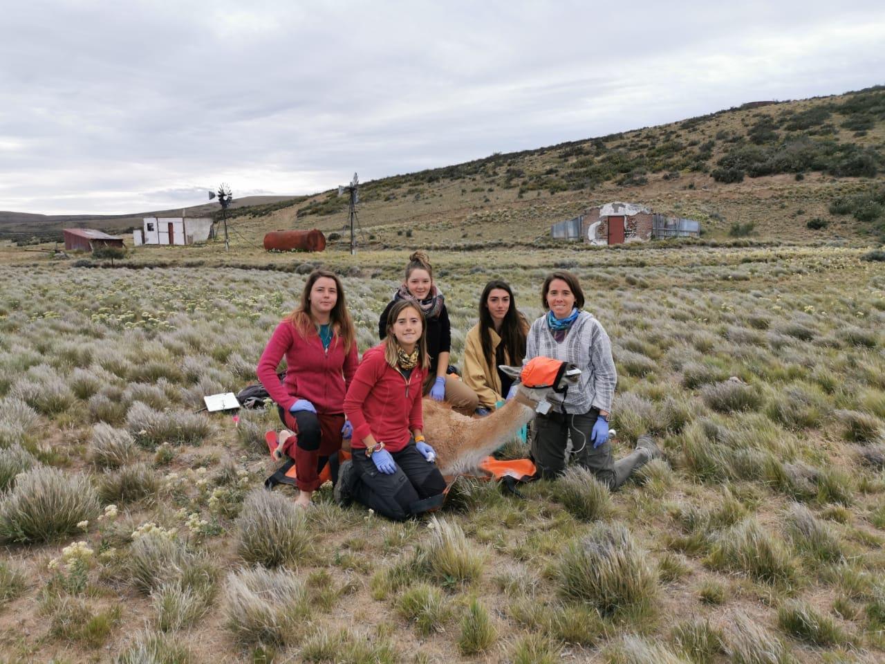 8 M 01INTERNACIONAL DE LA MUJER - CAROLINA CHIARA 06