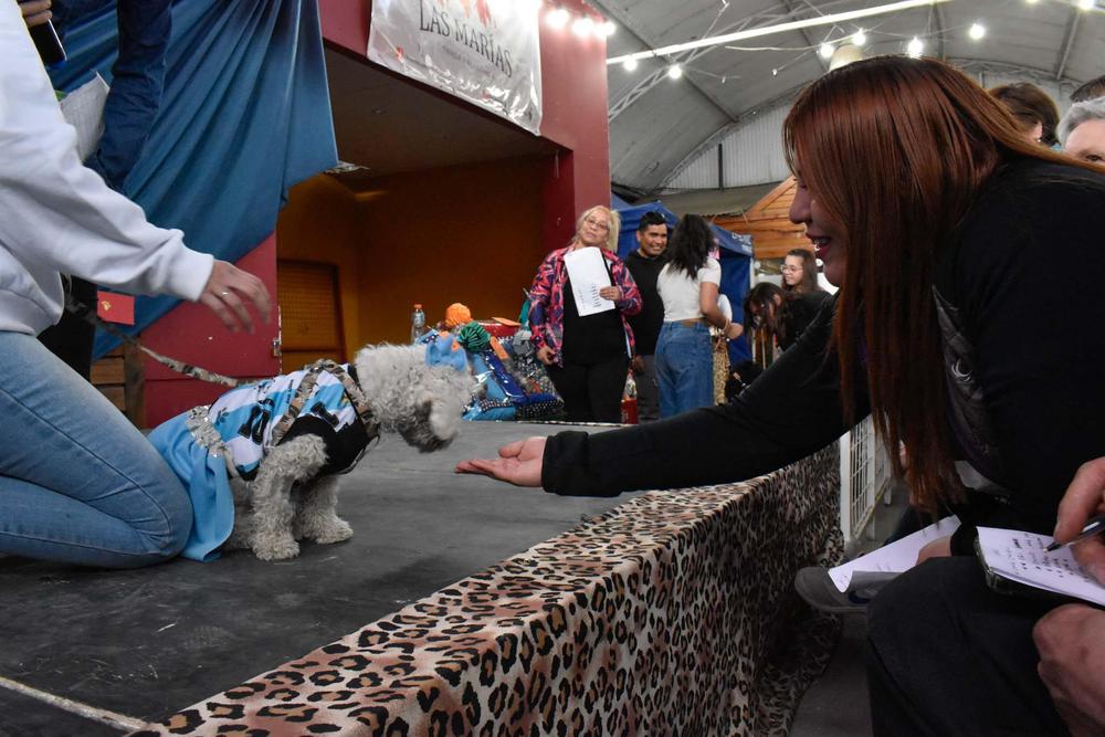 316125787_516334480526163_2944776130641274201_n