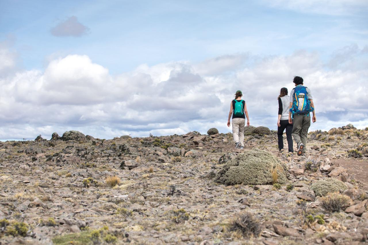 SENDERISMO EN CAÑADON PINTURAS