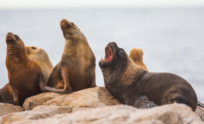 560361-whatsapp-image-2020-07-29-at-23-26-24-20-281-29