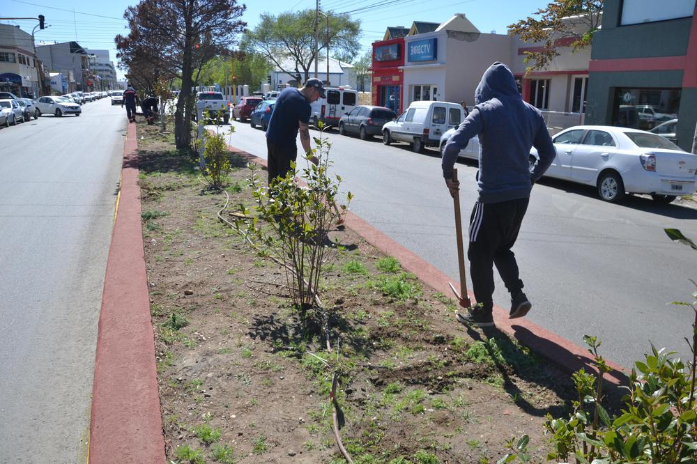 SOP_FORESTACIONES_DESMALEZAMIENTO_BOULEVARD_SAN MARTIN (2)
