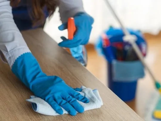 empleadas-domesticas