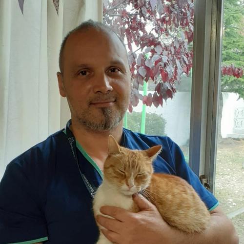 artworks-YGwyE4Cyh4aEZyR4-Zgw6fw-t500x500