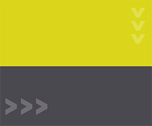 300x250 (1)