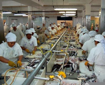 FRESCOS PUERTO DESEADO