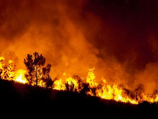 incendios-forestalesjpg