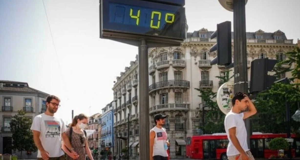 7gpmbaXGZ_1300x655__2