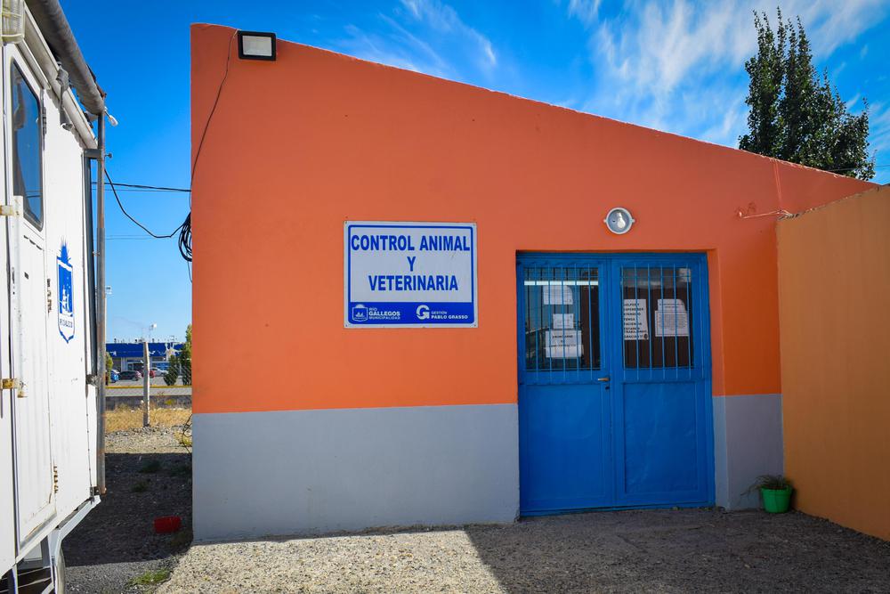 DES-ANIM_CONTROL ANIMAL