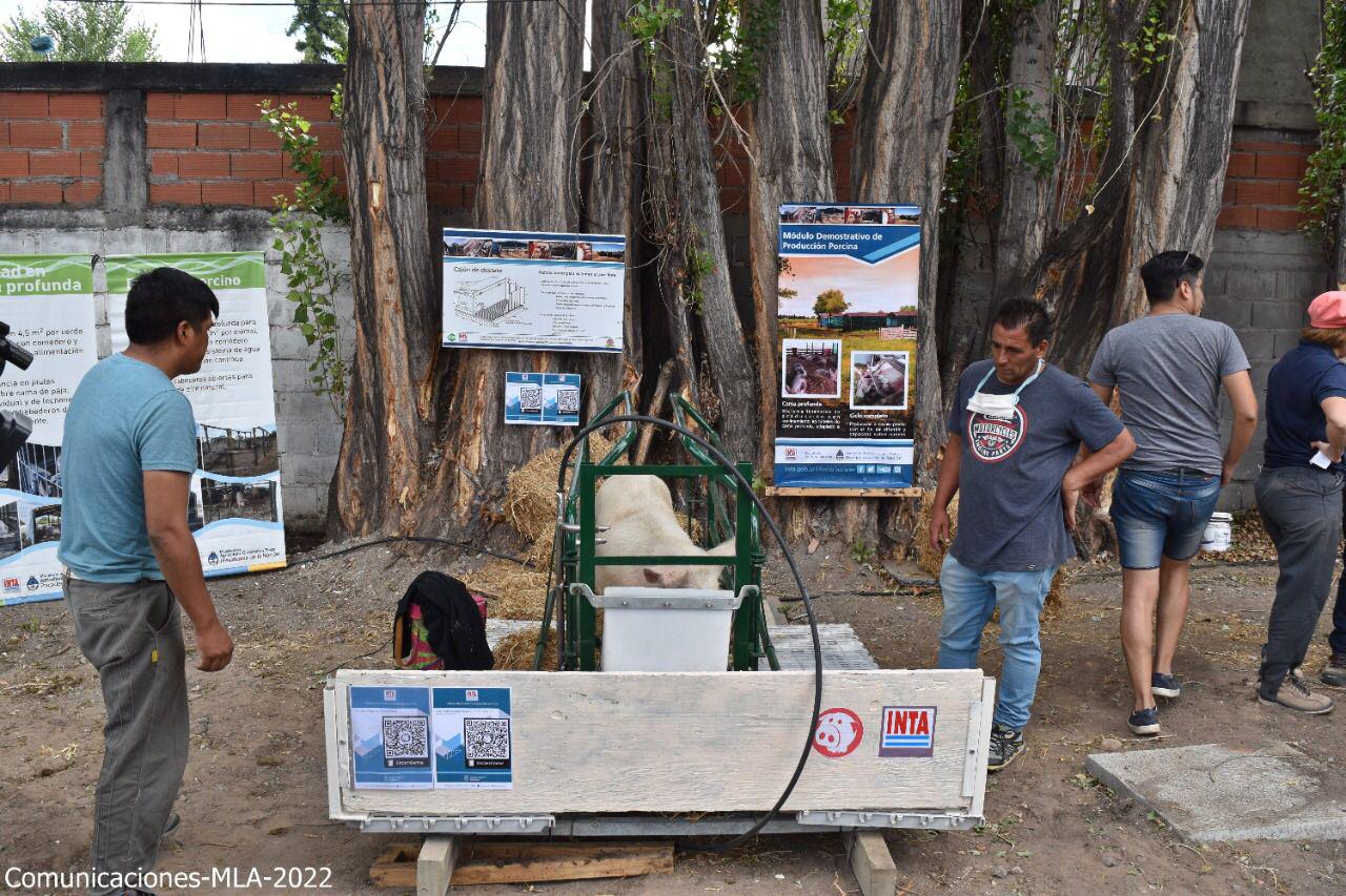 WhatsApp Image 2022-02-18 at 17.07.26