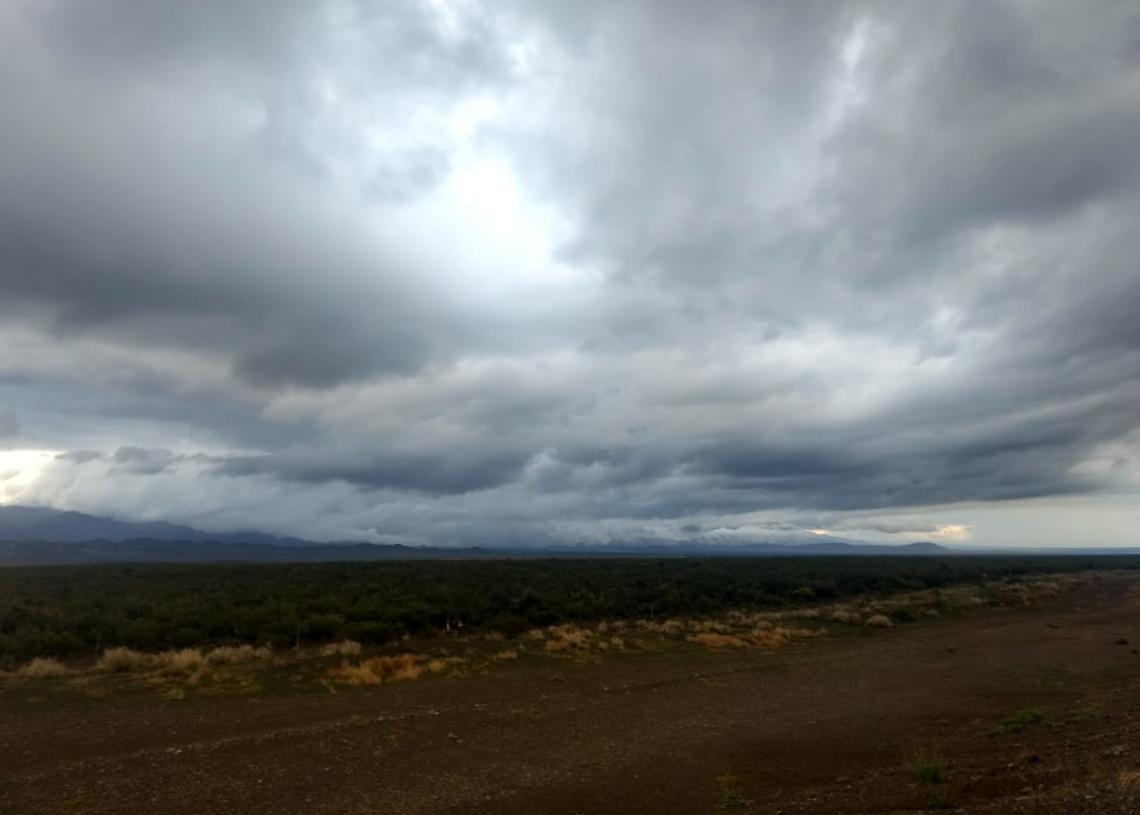 WhatsApp-Image-2020-11-14-at-12.49.06-1140x815