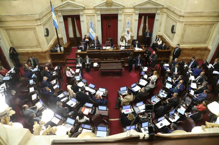 senado-petunchi-4jpeg