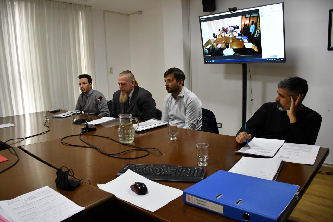 comision de trabajo (1)