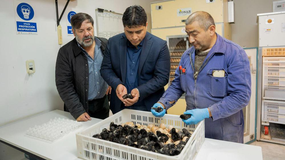 WhatsApp_Image_2024-01-17_at_12.29.04_PM