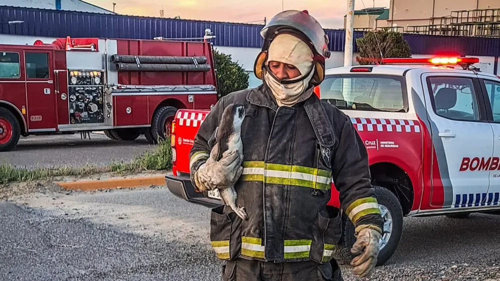 webvero - 2026-02-21T113749.538