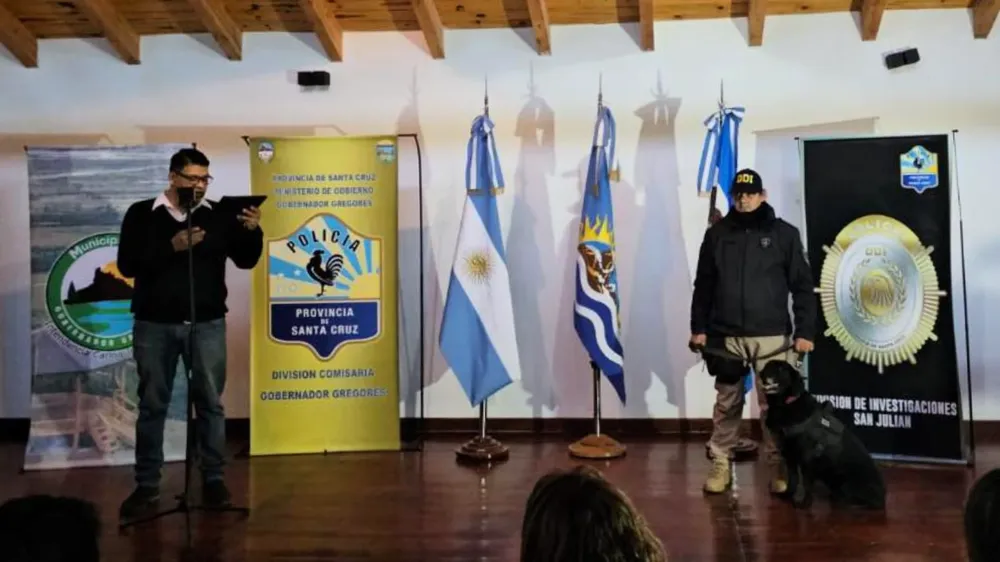 webvero - 2025-05-16T091137.930