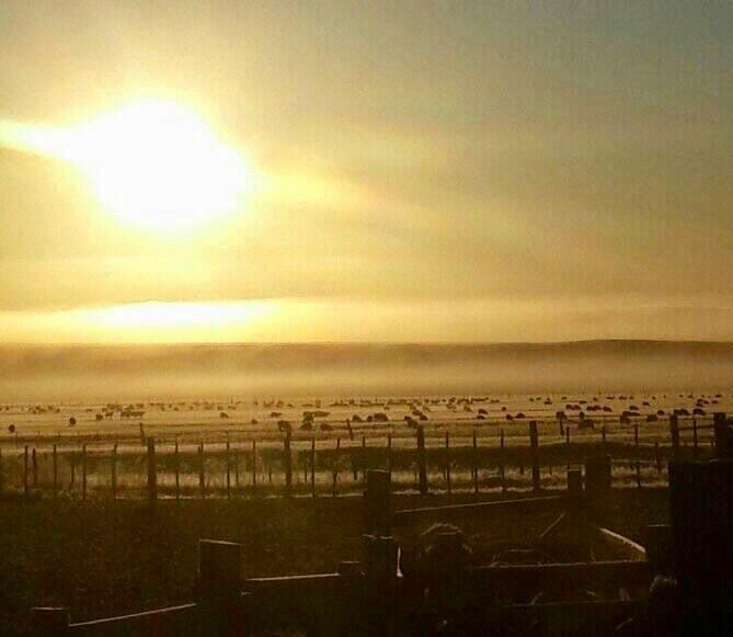 13-RENATRE Bajas Temp.