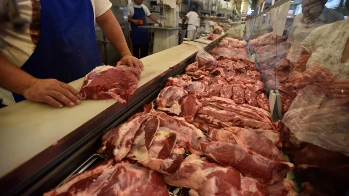 carniceria-696x392
