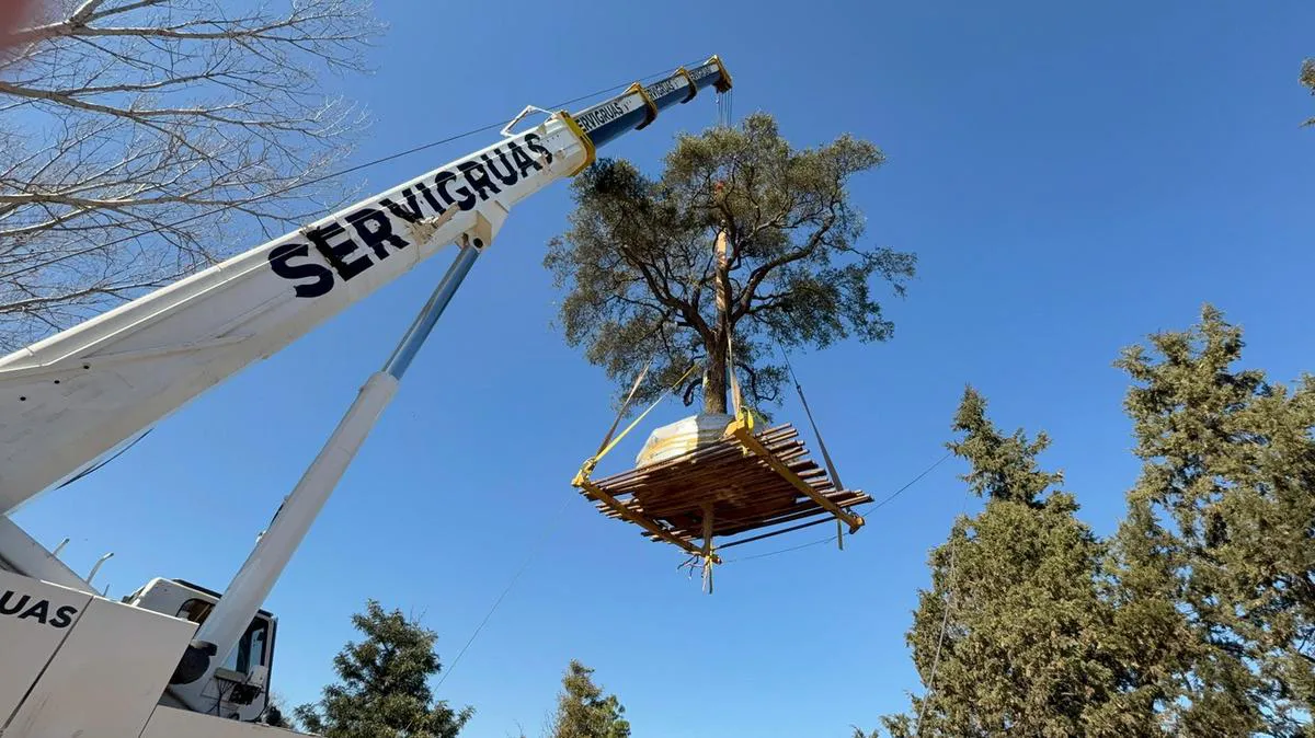 Imagen de WhatsApp 2025-07-14 a las 10.23.49_b0178b2b