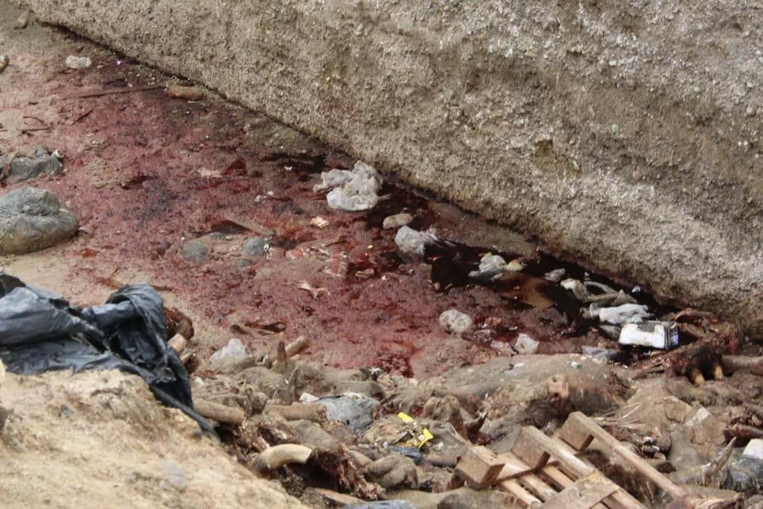 3571e000-d363-43cf-9290-3162e47443ce