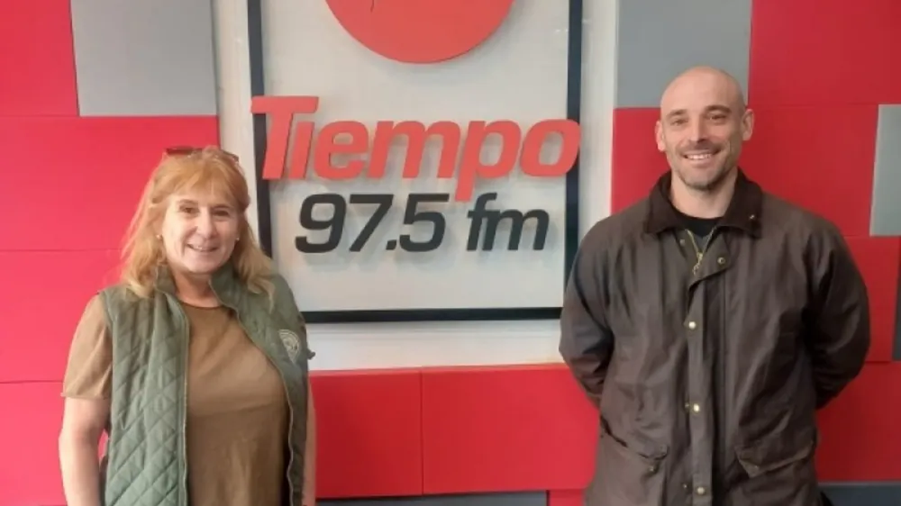 webvero - 2025-10-31T155419.641