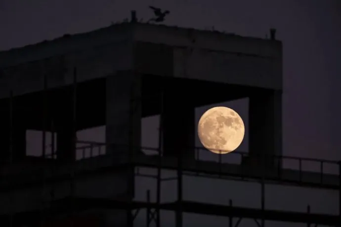 superlunawebp