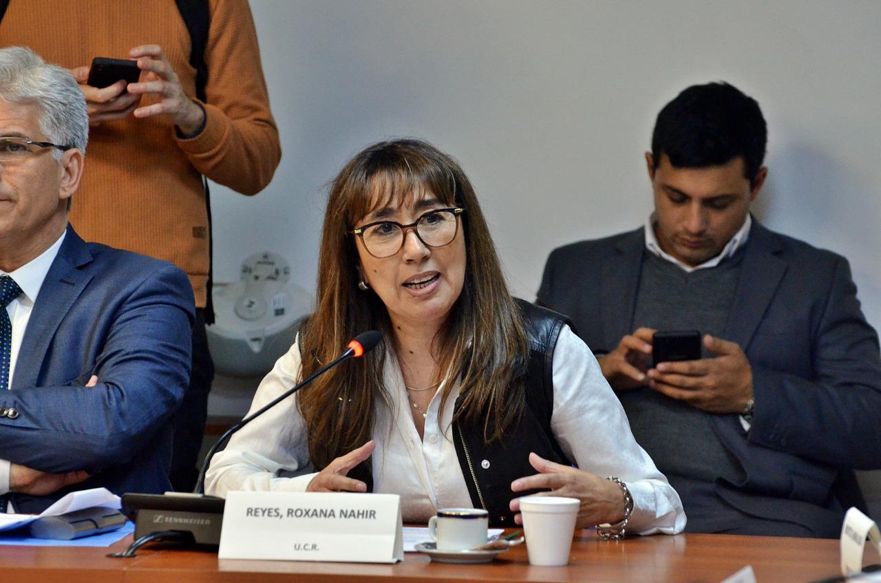 Roxana Reyes en comision de Turismo HCDN