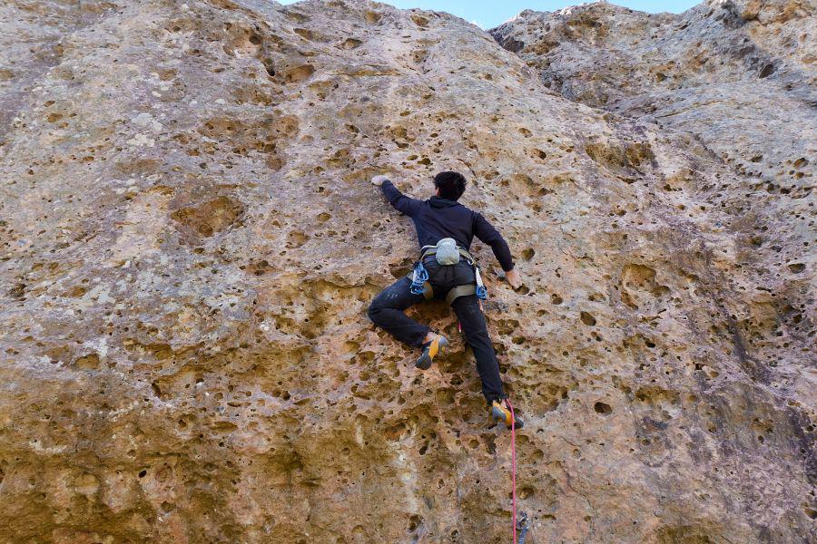 52ef514ed273b07357347e68fdcec09d_XL