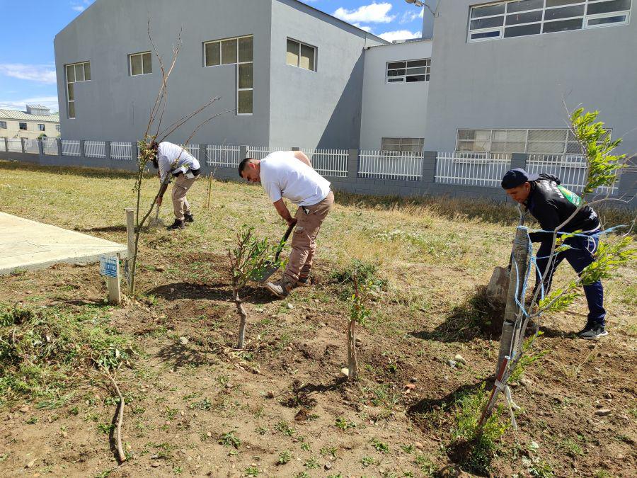 5d36739d391a17f3fefdcdc2a0f5398a_XL