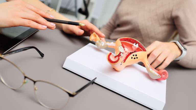 57B346X7JVD7DMKOG6N626AWII