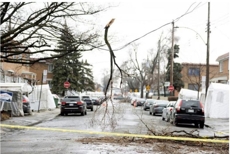 WhatsApp Image 2023-04-07 at 23.36.24