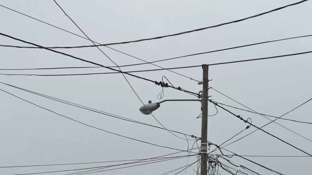 webvero - 2025-04-25T112259.758