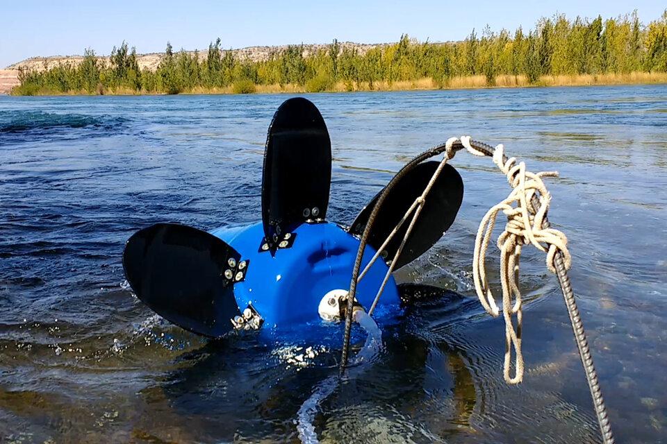 727926-21-a-20ipaf-inta