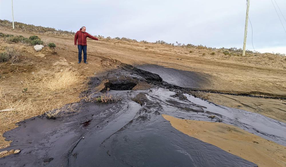 33653eb6-56f3-4779-9872-8f6cb6a22e56