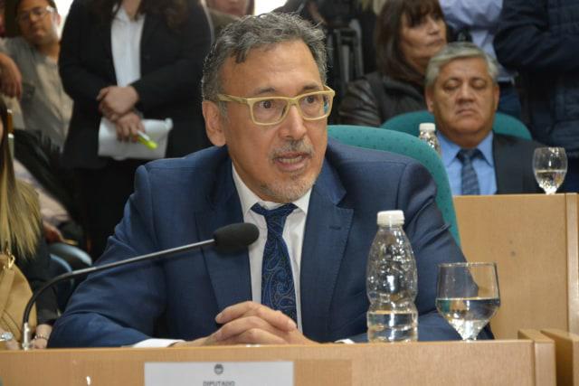 Diputado Javier Pérez Gallart en su banca