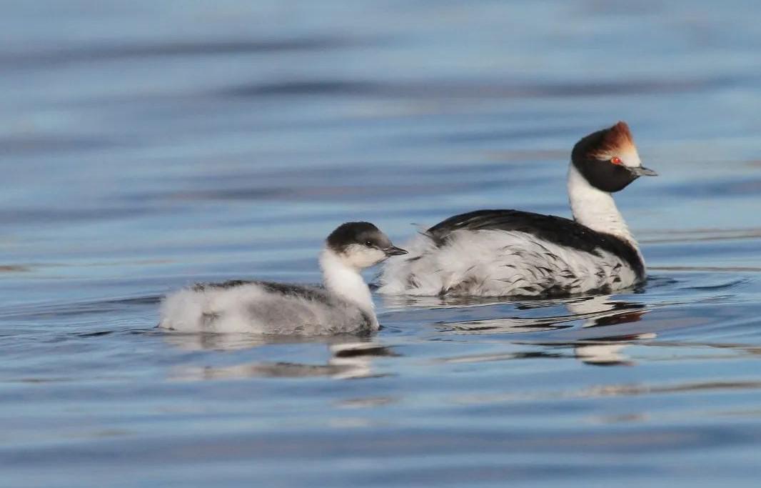 350798521_1393545414817071_6761627407865368664_n